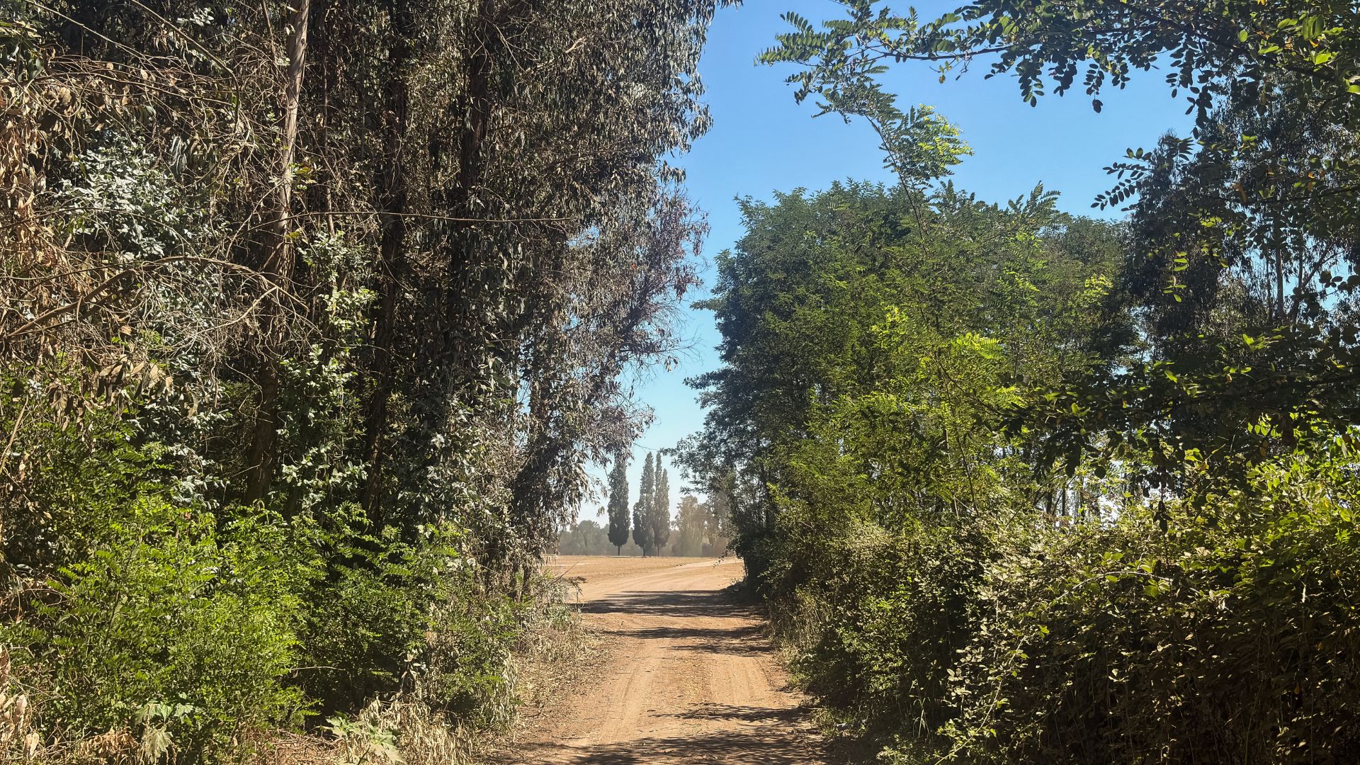 Camino de acceso al loteo San Luis de Molina
