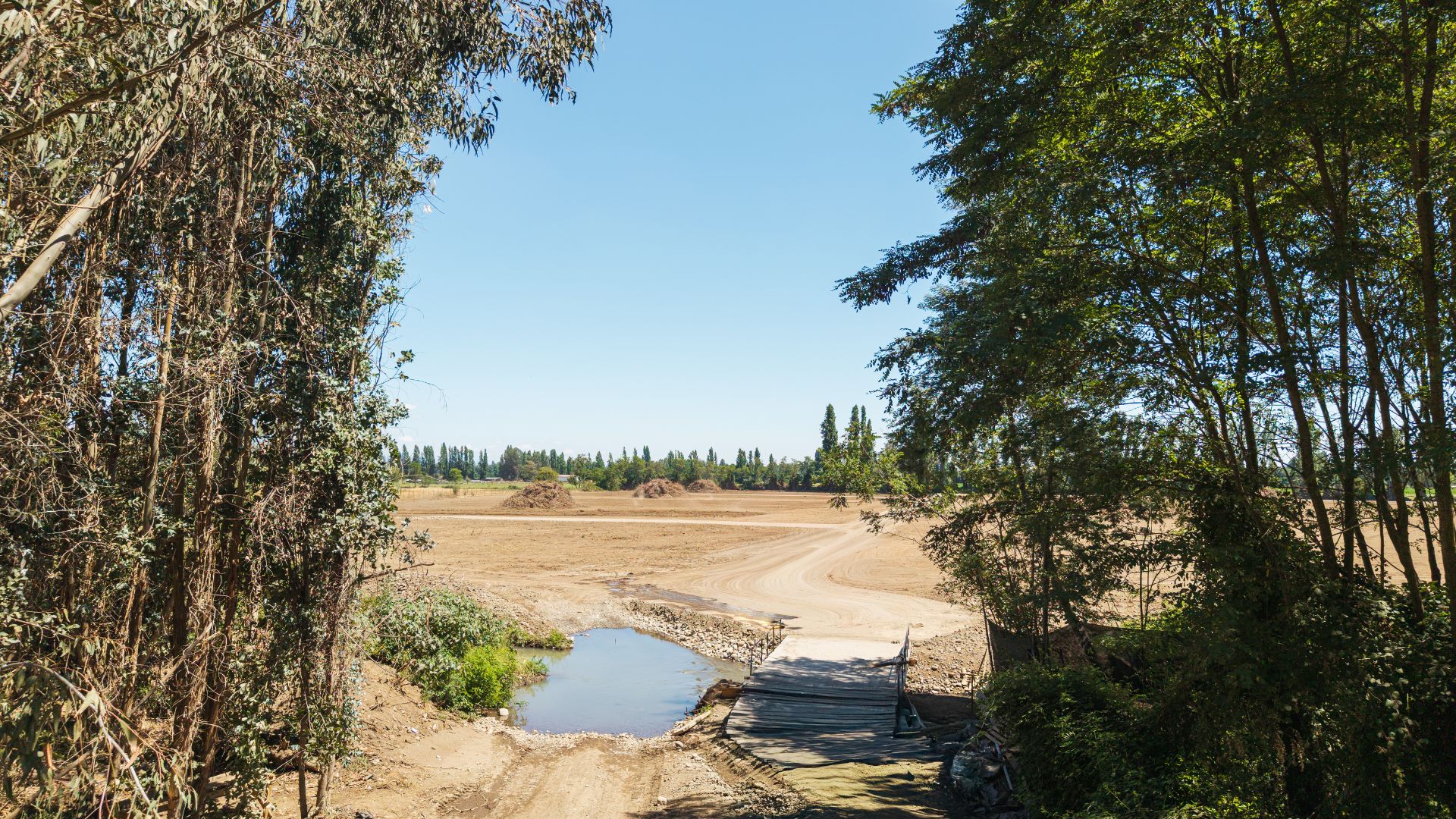 Vista del sector agrícola de Molina